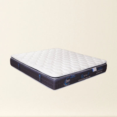 Blue Butterfly Bonnell Spring Mattress