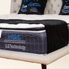 Blue Butterfly Bonnell Spring Mattress
